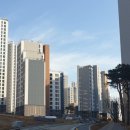 여의도씨티약국 네이버블로그
