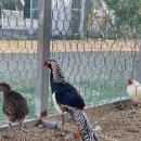 농업회사법인 더 팸팜 이미지