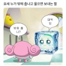 행복한 기분탓|피카푸 피크닉앤글램핑 서울YMCA 도봉산점 카라반 디럭스