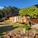 오송애견 이미지