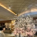 디자인수프(주) | 롯데호텔서울 중식당 도림 엄마 환갑 성공적 🤍