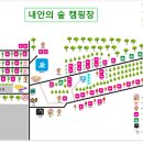내안의숲길 이미지