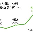 미래숲 동아일보