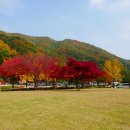 배론성지 이미지