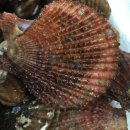 남해꽃게탕 이미지