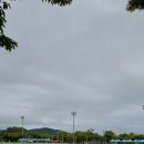 울산어울길제1구간 | 런린이의 러닝일기- 2025 제4회 울산동구 염포산 전국마라톤대회 후기 11.2Km