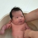 쌍둥이 신생아 육아+슈퍼맘 산후도우미 4주이용후기 산후도우미 이용전 알아야할 것!