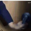 모드바이