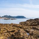 동굴가든 이미지