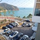 태종대 짚와이어 하부 이미지