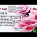 Bach(바흐) 이미지