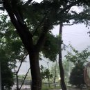 고미재펜션 이미지