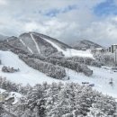 구성오토카프라자 | 설악산보다 깊은 겨울의 품격, 해발 1458m 발왕산 설경 여행지