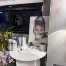 당진 신상카페 스위트비긴 내돈내산 후기 상주견 있음!