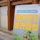 하와이클럽 이미지