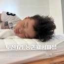 수기1리 | 제주 표선 내돈내산 숙소 | 한적한 동네에서 2박3일 😘