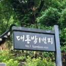 오성여행사 이미지