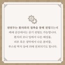 조선메디칼 Daum카페