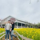 전주김제완주축협 부속동물병원 | 꽃구경 많이많이~~ 4월 일상