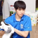 엘스토리
