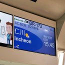 172 | [에바항공]BR139 / BR172 탑승후기 및 좌석 추천