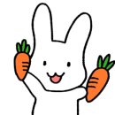 슈가(SUGAR) 이미지