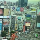시부야 이미지