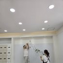 공간-조화 | 조화 플랜테리어 시공, 진짜 생화 같은 조화 인테리어 사무공간 시공 후기