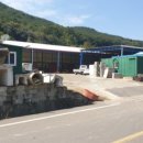 창녕동애등에 이미지