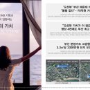 테넌바움294 이미지