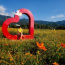 구례군청소년수련원 이미지