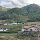 SK영월주유소 이미지