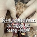 구미 JM 동물 메디컬 센터 | (구미) 강아지 스케일링,치석제거 동물병원 추천 JM메디컬센터