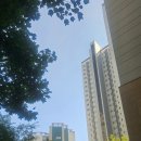 씨유 마포래미안푸르지오 | 마포의 대장주, 마포래미안 푸르지오 임장후기