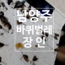 남양주 음식점 바퀴벌레 방역업체 식당 해충퇴치 후 관리까지