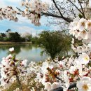 경포대오토캠핑장 이미지