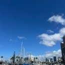 노달래농장 | 하와이 호롤ㄹ롤로 여행기2 (83번국도 물개원정대, 쿠알로라 공원, 틴탈루스 전망대, 하와이 프린스...