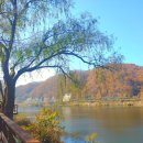 대청공원 놀이터 이미지