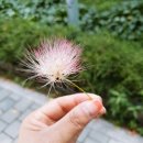 (주)화성투어 이미지
