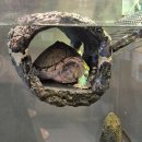 가온공원 | 빵가온 여수카페 종포해양공원 소금빵 가온슈페너 주차 산책 재방문 후기