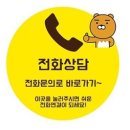 고양이 놀이터 이미지