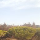 영민농장 이미지