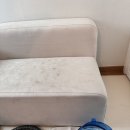 오금로68길 | [바른청년클린] 강아지 얼룩 소파 청소 건식 습식 케어 했어요