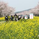 제주의계절