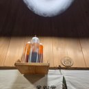 국수나무(화정점) | [미분당 화정점] "떠들면 혼나요" 혼밥하기 너무 좋은 식당 : 차돌, 양지 먹어봤어요.