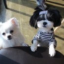 뜰가득한 이미지