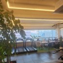 세로GYM 이미지