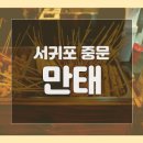서귀포 중문 만태 분위기 좋은 중문술집 오뎅바