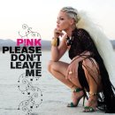 P!nk - Please Don't Leave Me 이미지