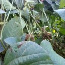 지누농장 이미지